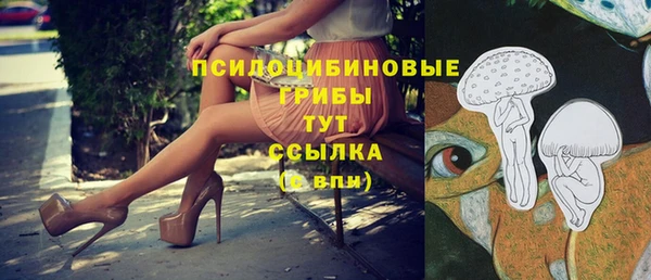 героин Алексин