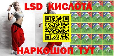стафф Камышлов