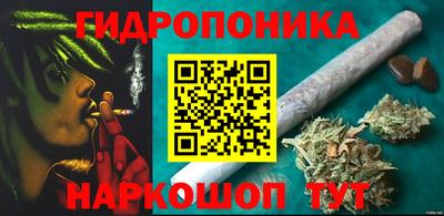 стафф Камышлов