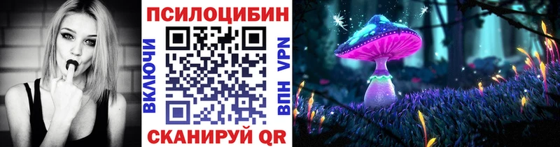где найти наркотики  Саранск  Псилоцибиновые грибы ЛСД 